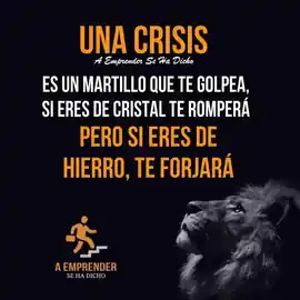 una_crisis_es_un_martillo_que_te_golpea_si_eres_de_cristal_te_rompera_pero_si_eres_de_hierro_te_forjara