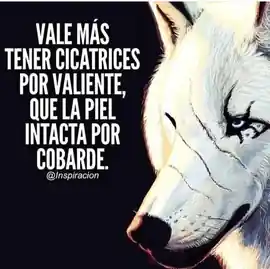 vale_mas_tener_cicatrices_por_valiente_que_la_piel_intacta_por_cobarde