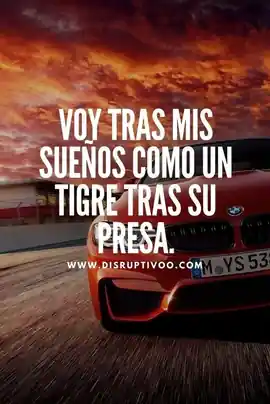 voy_tras_mis_suenos_como_un_tigre_tras_su_presa