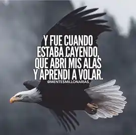 y_fue_cuando_estaba_cayendo_que_abri_mis_alas_y_aprendi_a_volar