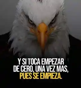 y_si_toca_empezar_de_cero_una_vez_mas_pues_se_empieza_1
