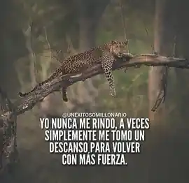 yo_nunca_me_rindo_a_veces_simplemente_me_tomo_un_descanso_para_volver_con_mas_fuerza