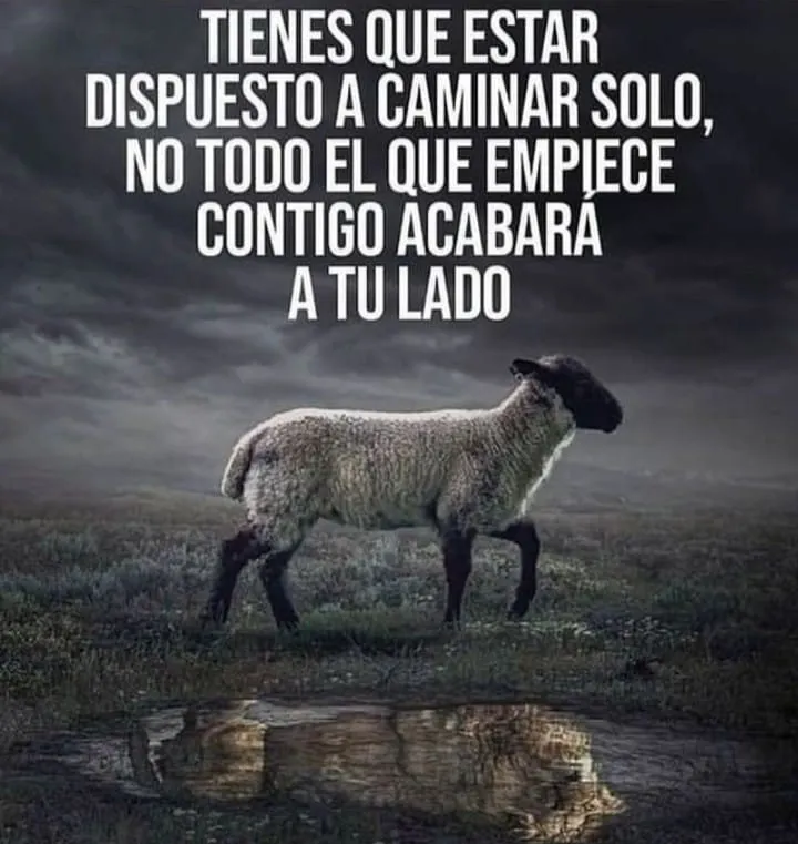 Tienes que estar dispuesto a caminar solo.