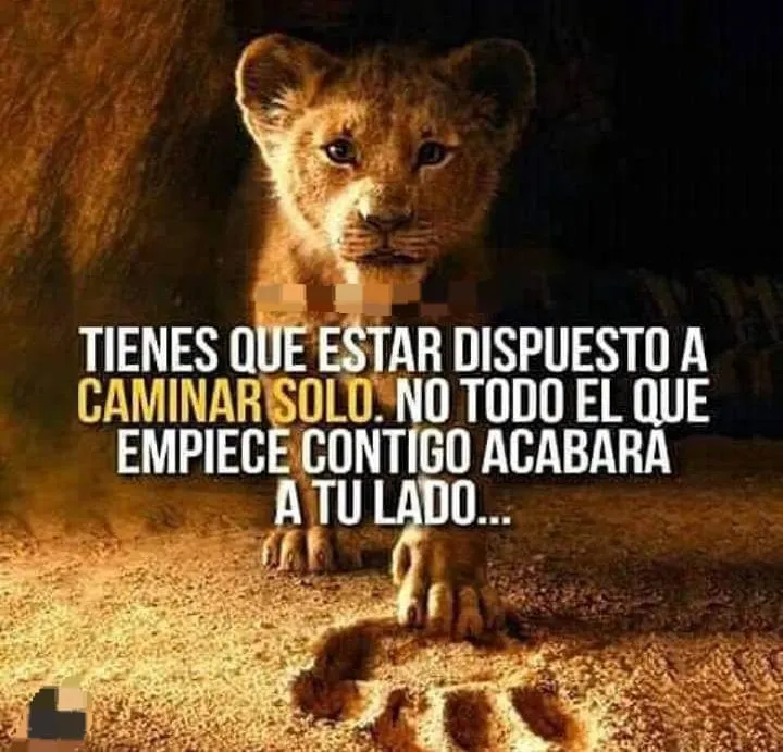 Tienes que estar dispuesto a caminar solo.