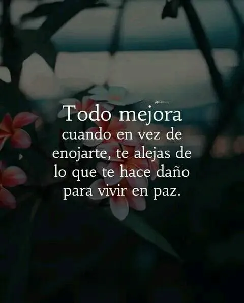 Es mejor alejarse de lo que te hace daño para vivir en paz.
