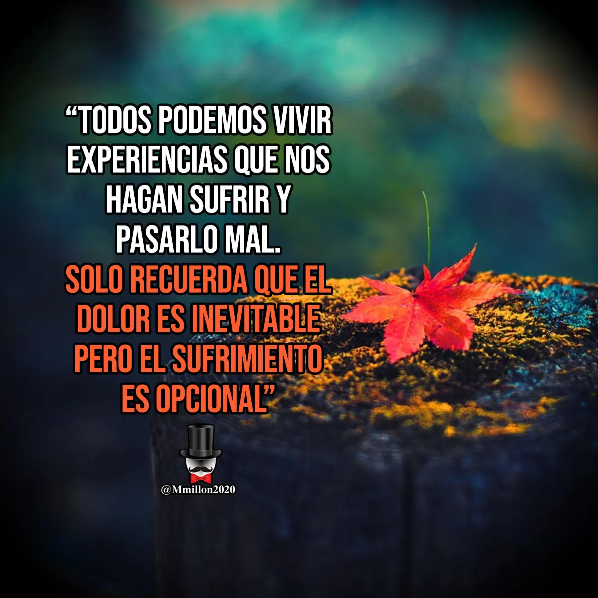 Podemos vivir experiencias que nos hagan sufrir.