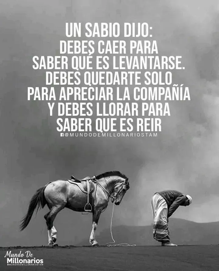 Un sabio dijo debes caer para saber qué es levantarse.