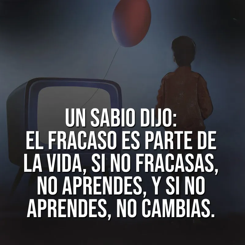 Un sabio dijo el fracaso es parte de la vida.