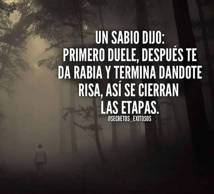 Un sabio dijo primero duele, después te da rabia y termina dándote risa, así se cierran las etapas.