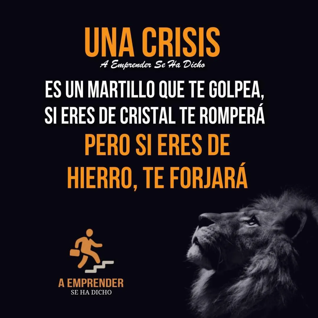Una crisis es un martillo que te golpea.