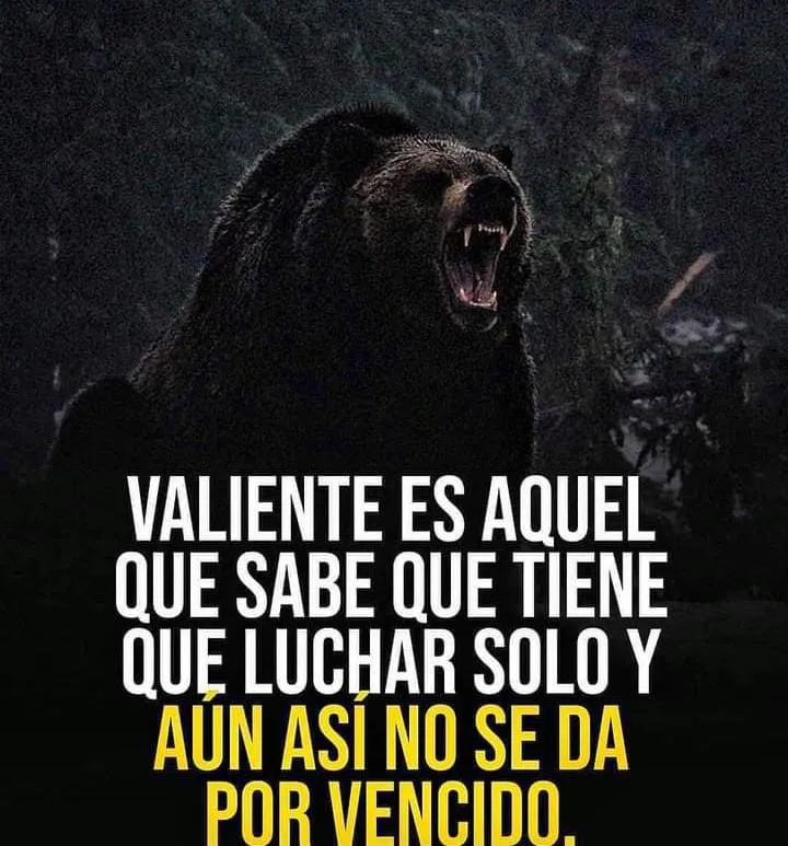 Valiente es aquel que sabe que tiene que luchar solo.