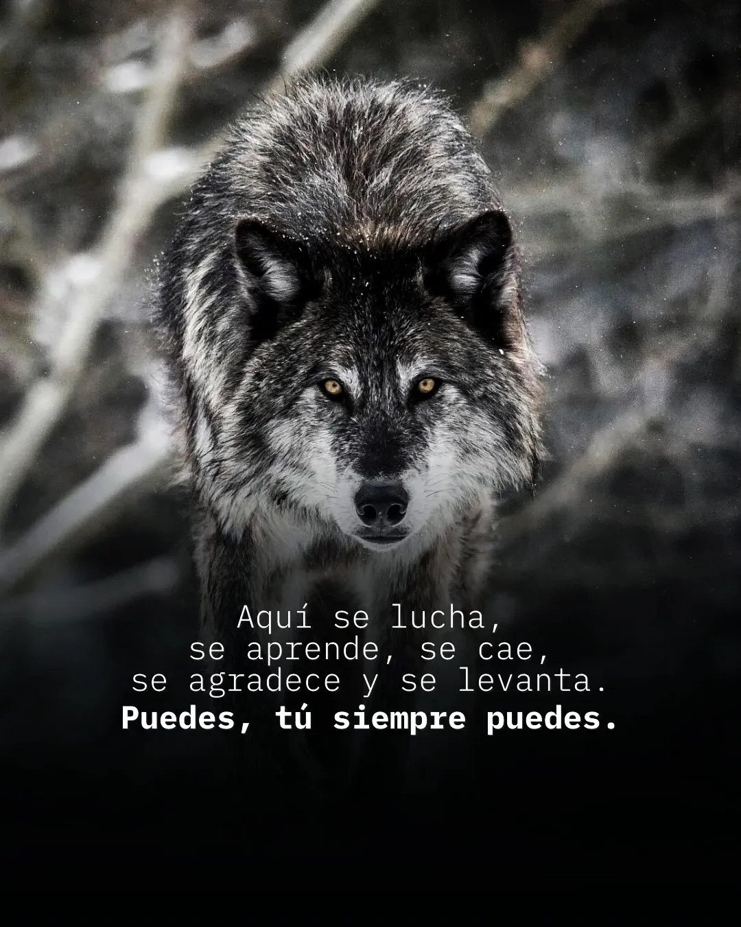 Aquí se lucha, se aprende, se cae, se agradece y se levanta.