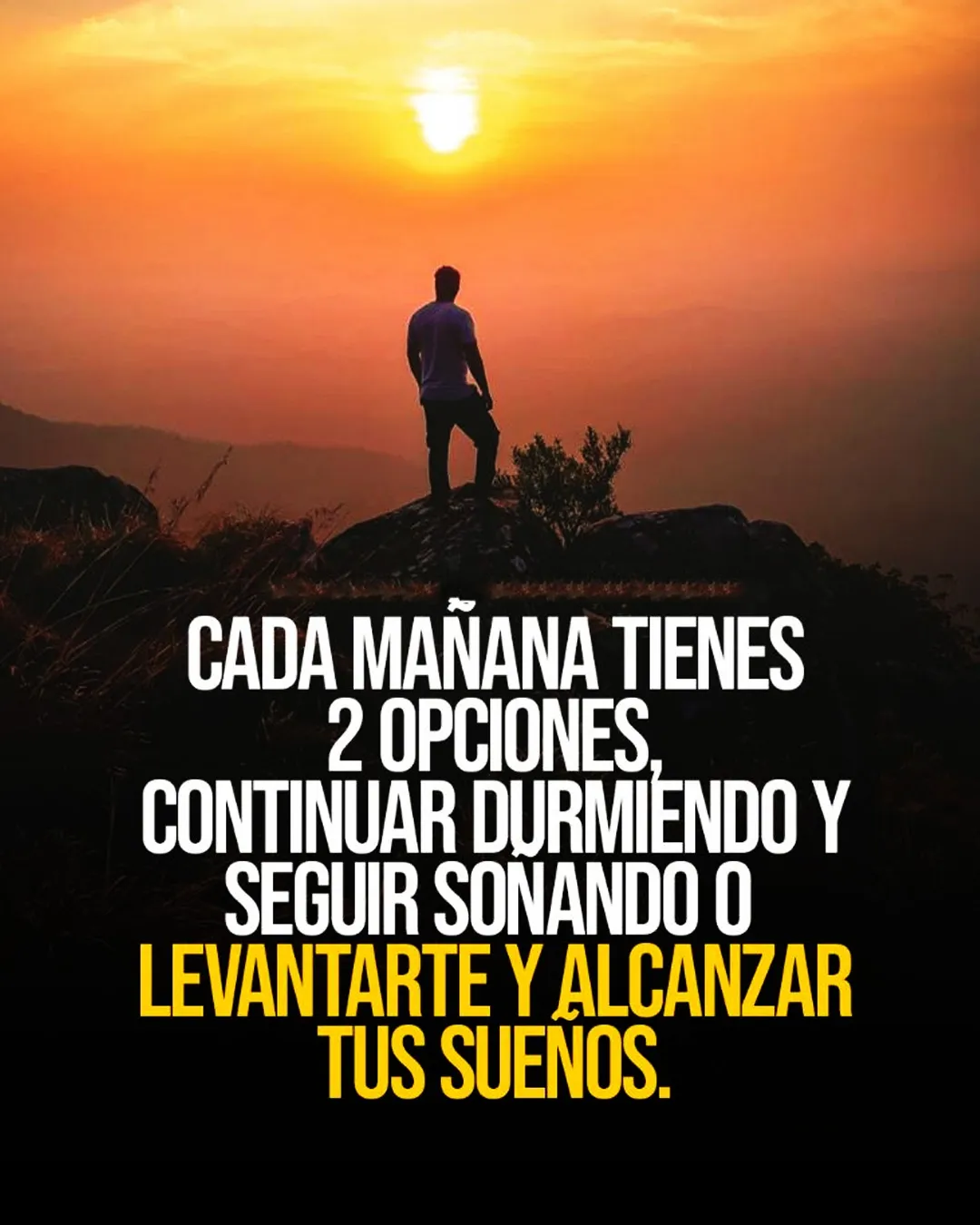 Cada mañana tienes opciones.
