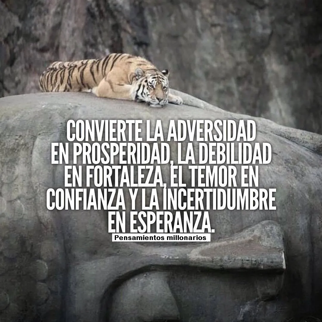Convierte la adversidad en prosperidad.