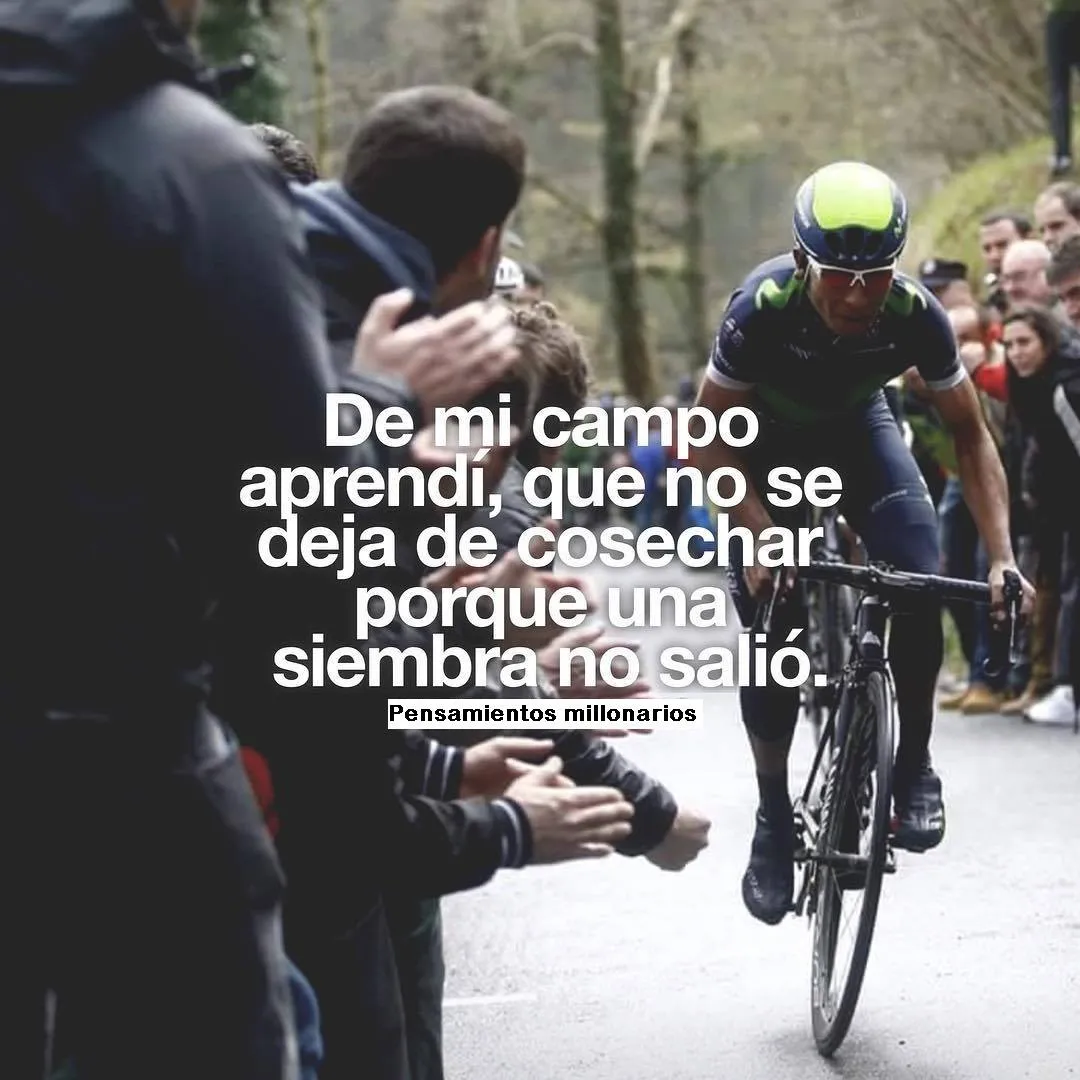 De mi campo aprendí, que no se deja de cosechar porque una siembra no salió.