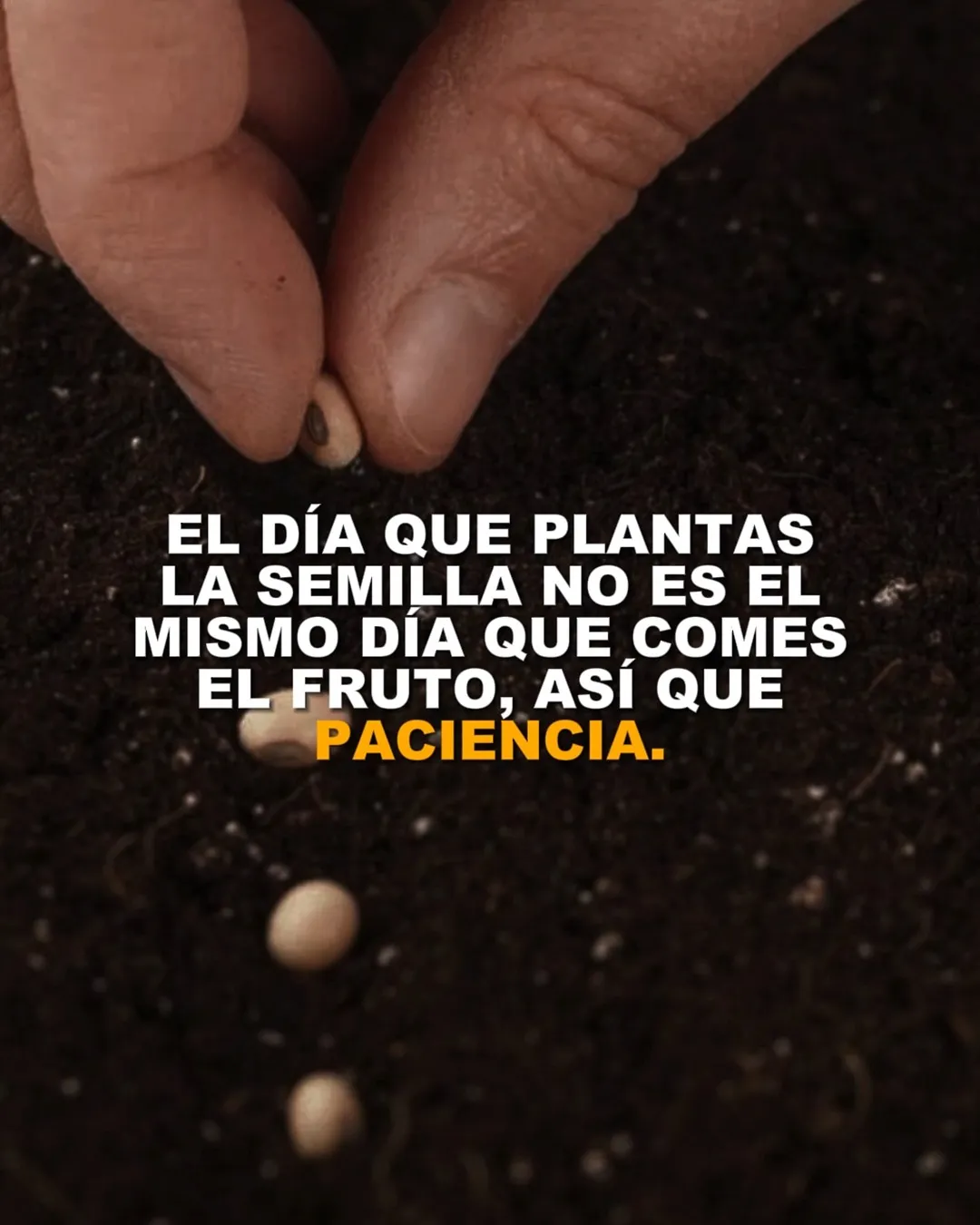 El día que plantas la semilla no es el mismo día que comes el fruto.
