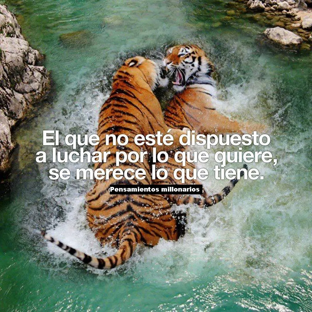 El que no esté dispuesto a luchar por lo que quiere. . .