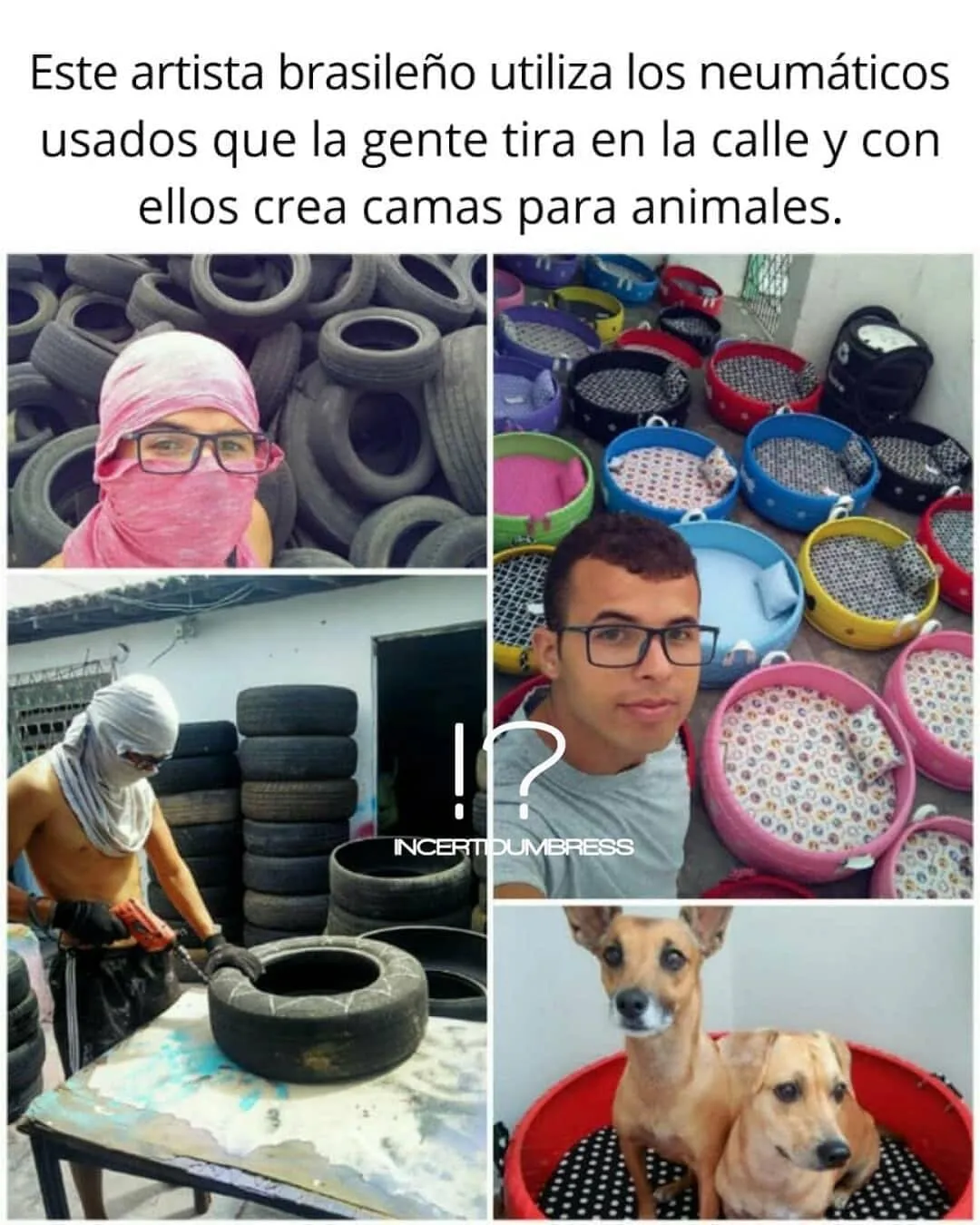 Un artista brasileño utiliza neumáticos usados para crear camas para animales.