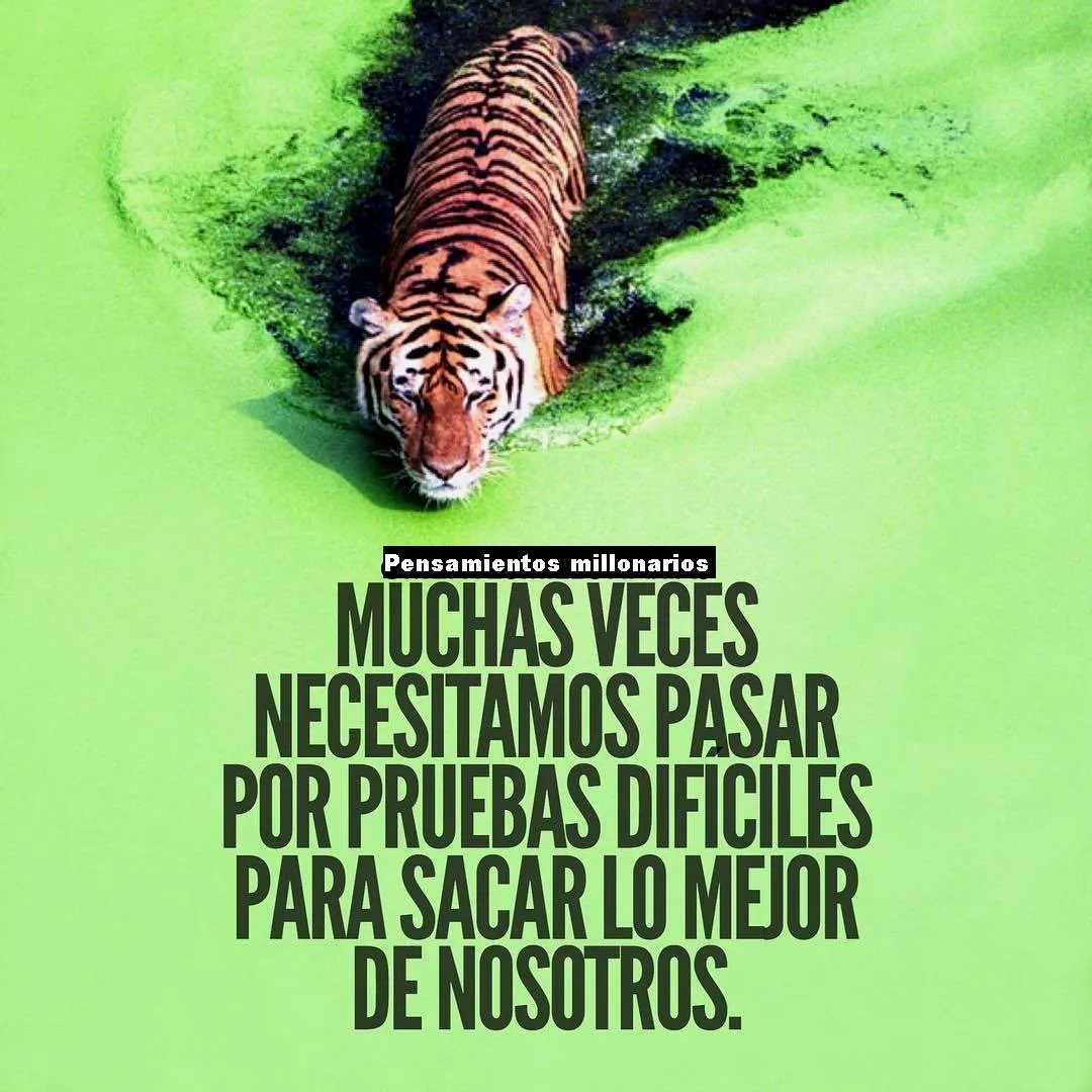 Muchas veces necesitamos pasar por pruebas difíciles. . .