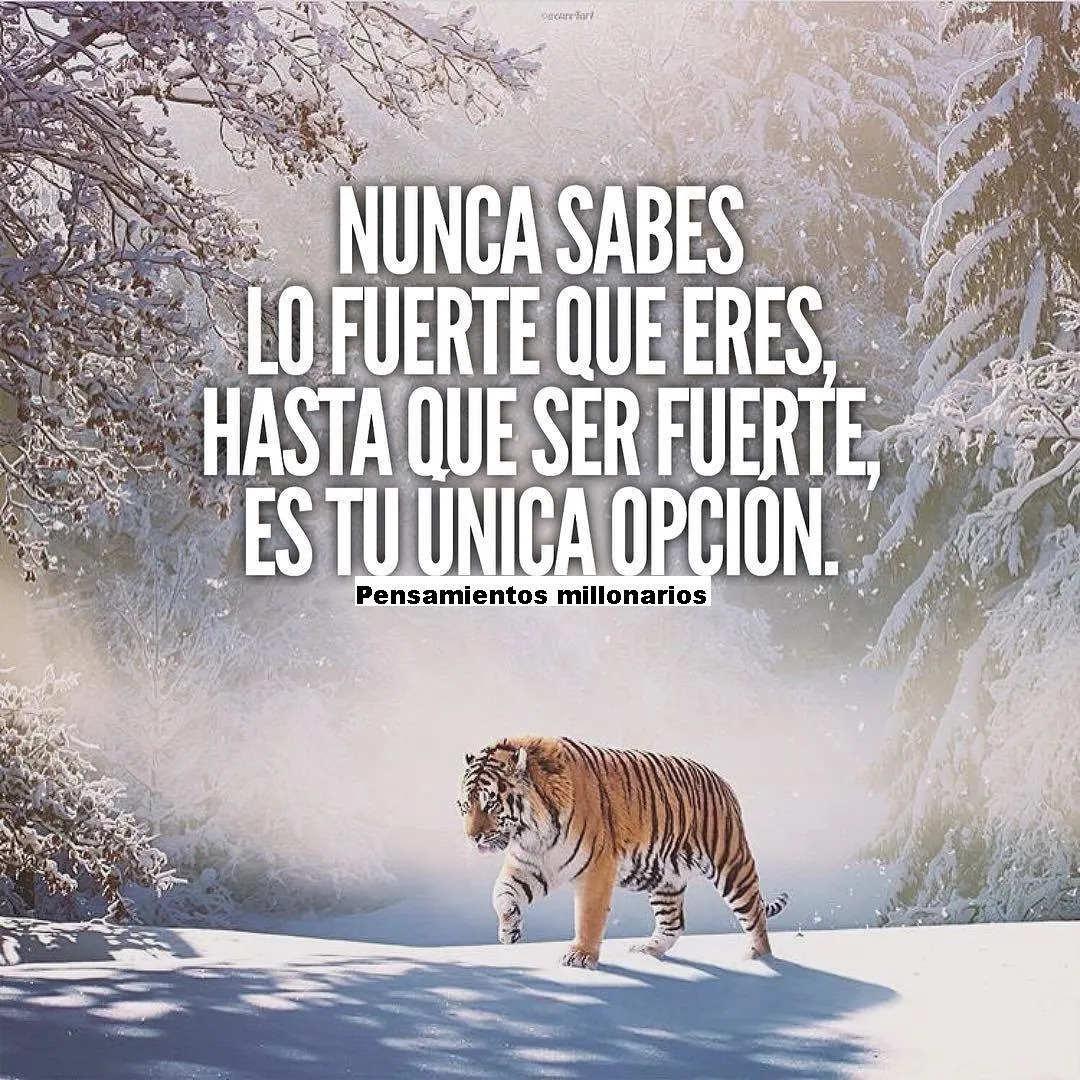 Nunca sabes lo fuerte que eres, hasta que ser fuerte, es tu única opción.