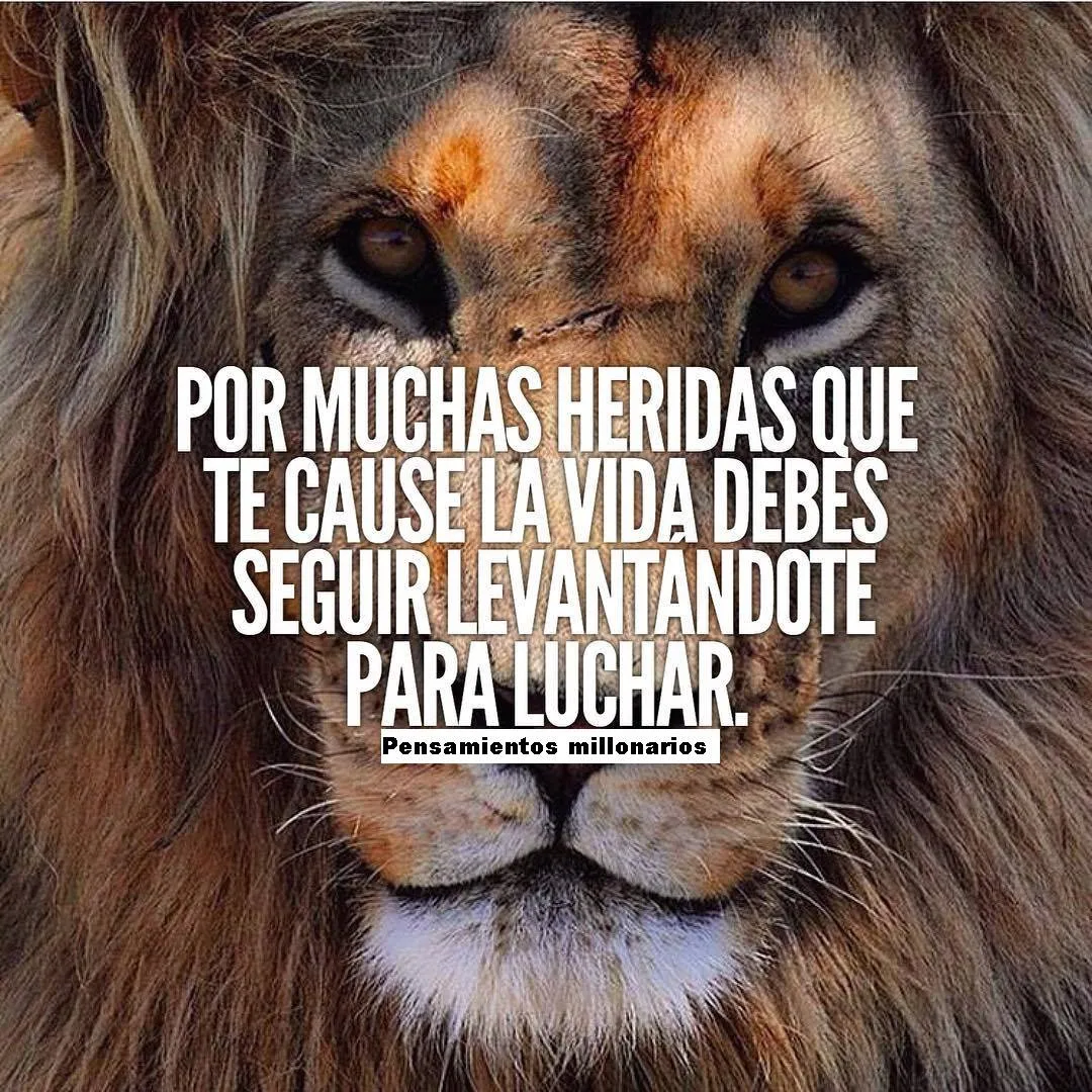 La vida te causará muchas heridas, pero debes levantarte para luchar.