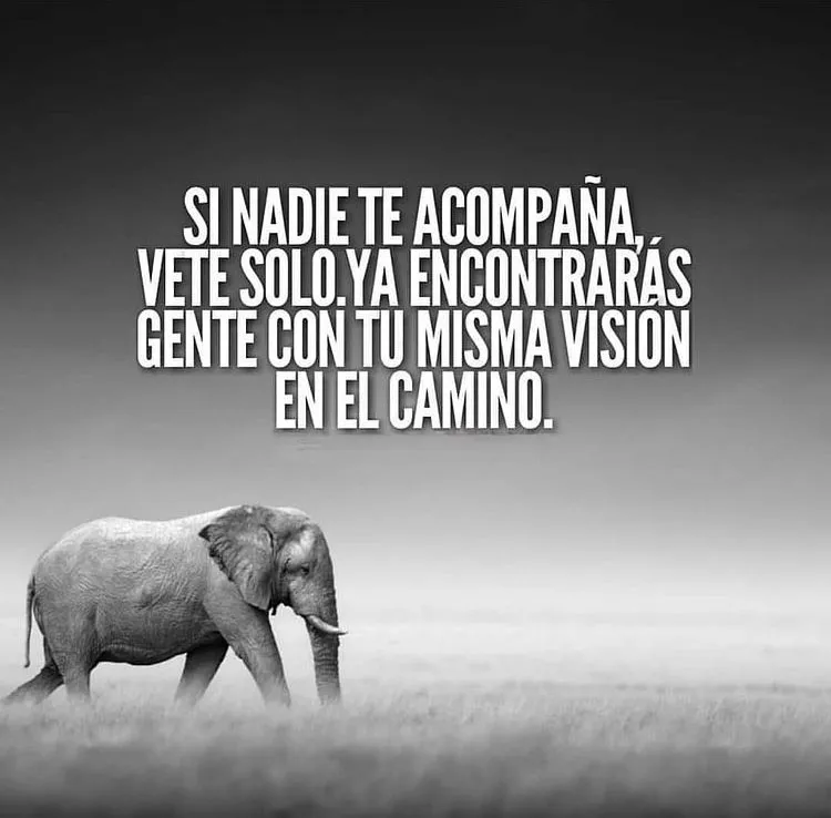 Si nadie te acompaña vete solo.