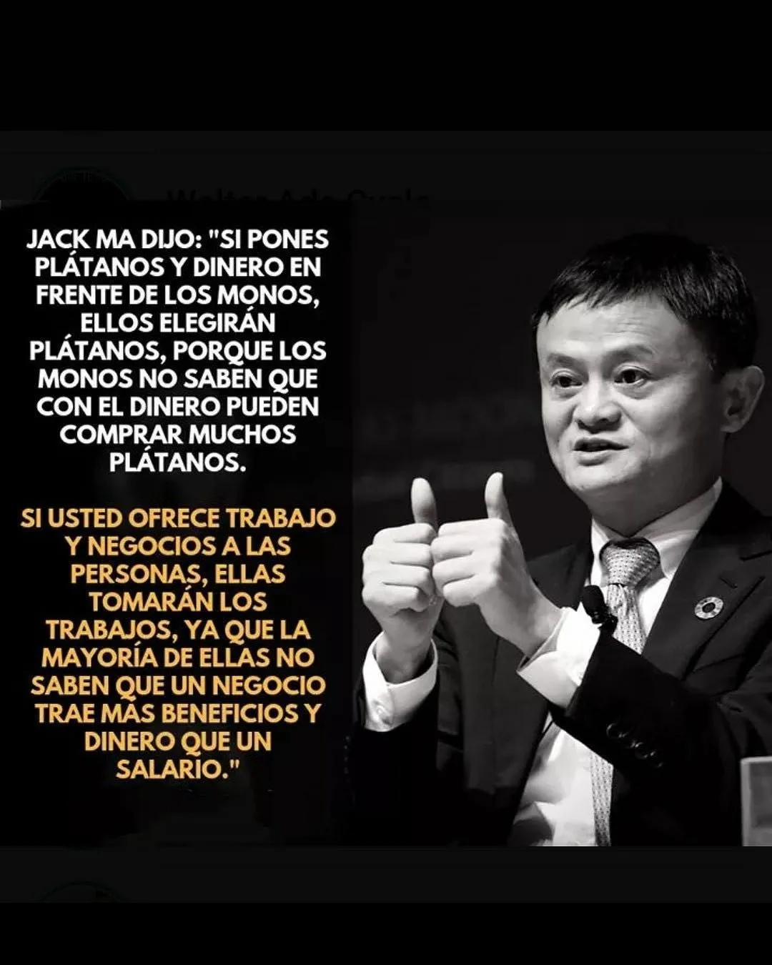 Jack ma dijo si pones plátanos y dinero en frente de los monos. . .