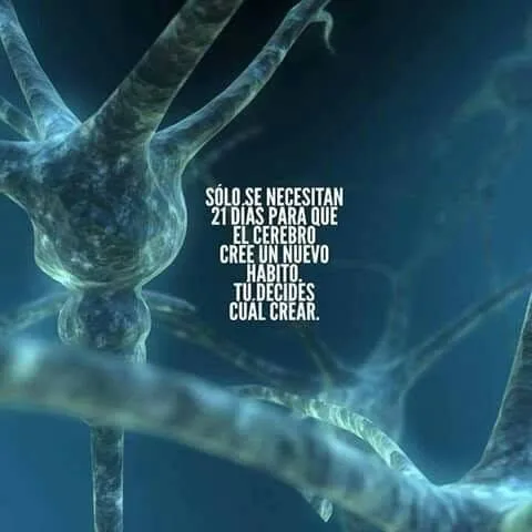 Sólo se necesitan días para que el cerebro cree un nuevo hábito.