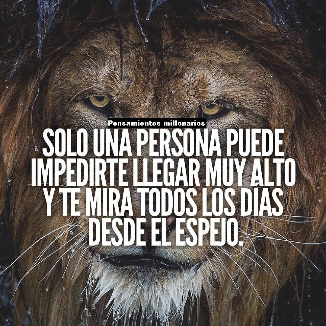 La única persona que puede impedirte llegar muy alto es la que te mira todos los días desde el espejo.