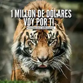 1_millon_de_dolares_voy_por_ti