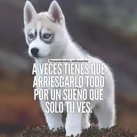 a_veces_tienes_que_arriesgarlo_todo_por_un_sueno_que_solo_tu_ves