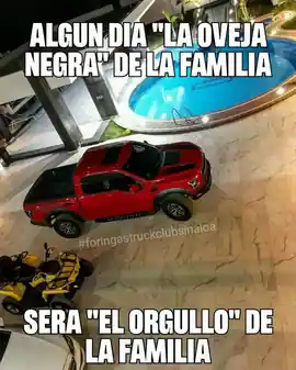 algun_dia_la_oveja_negra_de_la_familia_sera_el_orgullo_de_la_familia