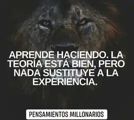 aprende_haciendo_la_teoria_esta_bien_pero_nada_sustituye_a_la_experiencia