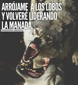 arrojame_a_los_lobos_y_volvere_liderando_la_manada