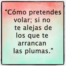 como_pretendes_volar_si_no_te_alejas_de_los_que_te_arrancan_las_plumas_1