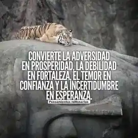 convierte_la_adversidad_en_prosperidad_la_debilidad_en_fortaleza_el_temor_en_confianza_y_la_incertidumbre_en_esperanza