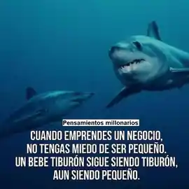 cuando_emprendes_un_negocio_no_tengas_miedo_de_ser_pequeno_un_tiburon_sigue_siendo_tiburon_aun_siendo_pequeno