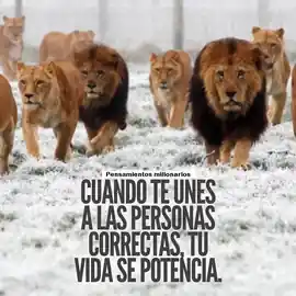 cuando_te_unes_a_las_personas_correctas_tu_vida_se_potencia_1