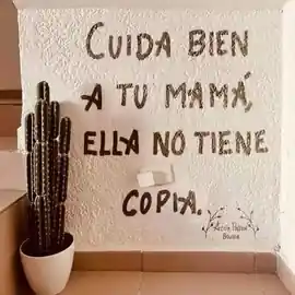 cuida_bien_a_tu_mama_ella_no_tiene_copia