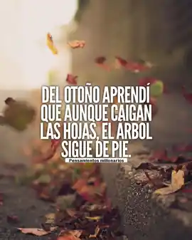 del_otono_aprendi_que_aunque_caigan_las_hojas_el_arbol_sigue_de_pie