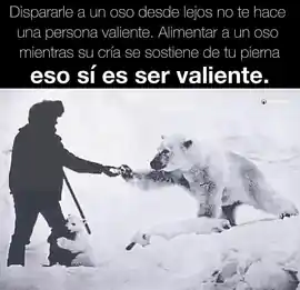 dispararle_a_un_oso_desde_lejos_no_te_hace_una_persona_valiente_alimentar_a_un_oso_mientras_su_cria_se_sostiene_de_tu_pierna_eso_si_es_ser_valiente