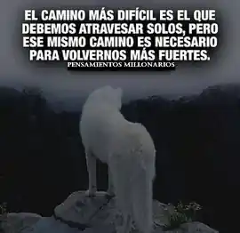 el_camino_mas_dificil_es_el_que_debemos_atravesar_solos_pero_ese_mismo_camino_es_necesario_para_volvernos_mas_fuertes