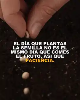 el_dia_que_plantas_la_semilla_no_es_el_mismo_dia_que_comes_el_fruto_asi_que_paciencia