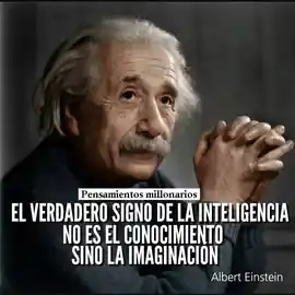 el_verdadero_signo_de_la_inteligencia_no_es_el_conocimiento_sino_la_imaginacion
