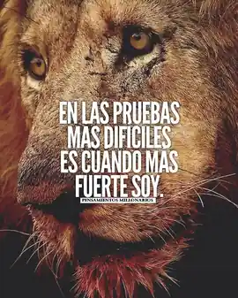 en_las_pruebas_mas_dificiles_es_cuando_mas_fuerte_soy