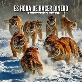 es_hora_de_hacer_dinero