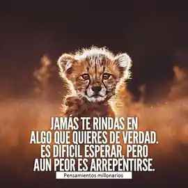 jamas_te_rindas_en_algo_que_quieres_de_verdad_es_dificil_esperar_pero_aun_peor_es_arrepentirse