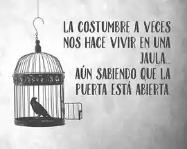 la_costumbre_a_veces_nos_hace_vivir_en_una_jaulaaun_sabiendo_que_la_puerta_esta_abierta