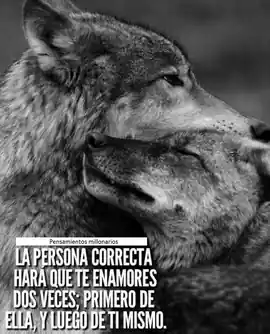 la_persona_correcta_hara_que_te_enamores_dos_veces_primero_de_ella_y_luego_de_ti_mismo