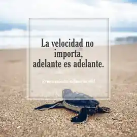 la_velocidad_no_importa_adelante_es_adelante